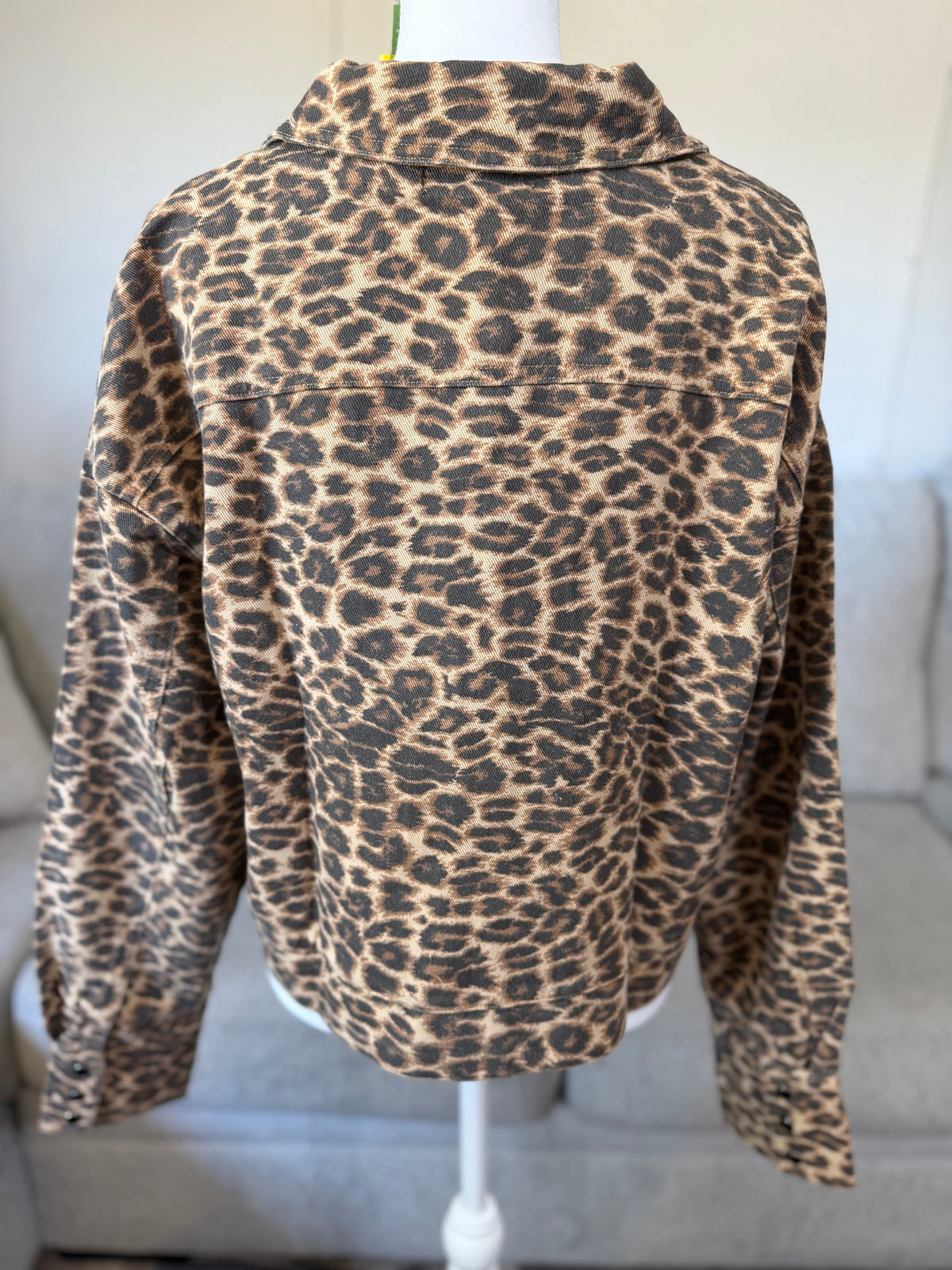 Canyon Cat Jacket